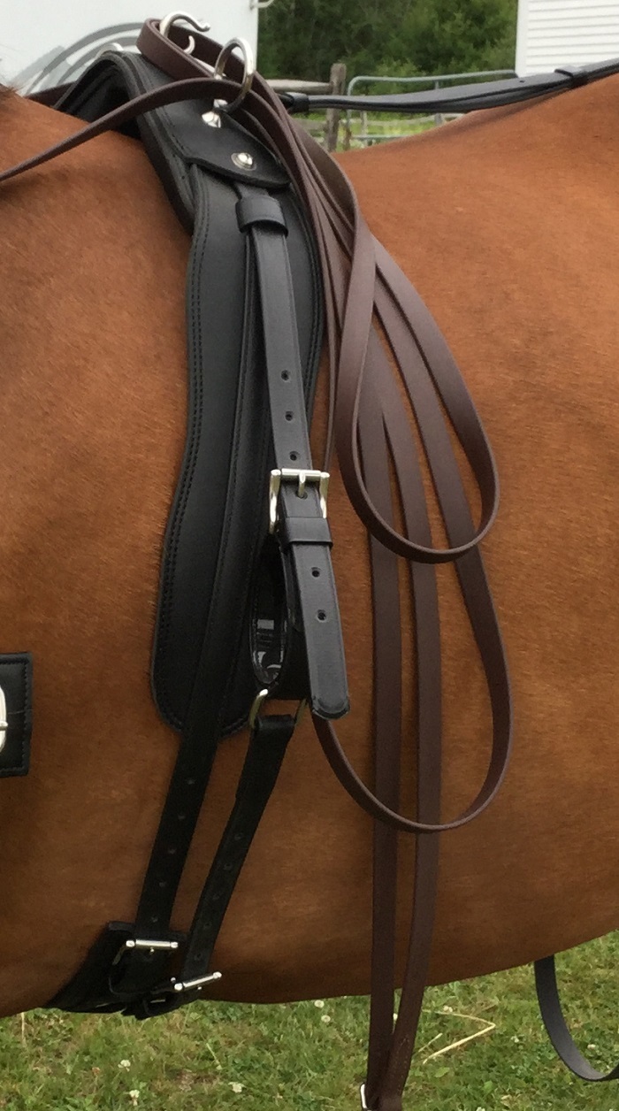 Saddles, Girths and Shaft Loops Chrysalis Acres Equipment for the