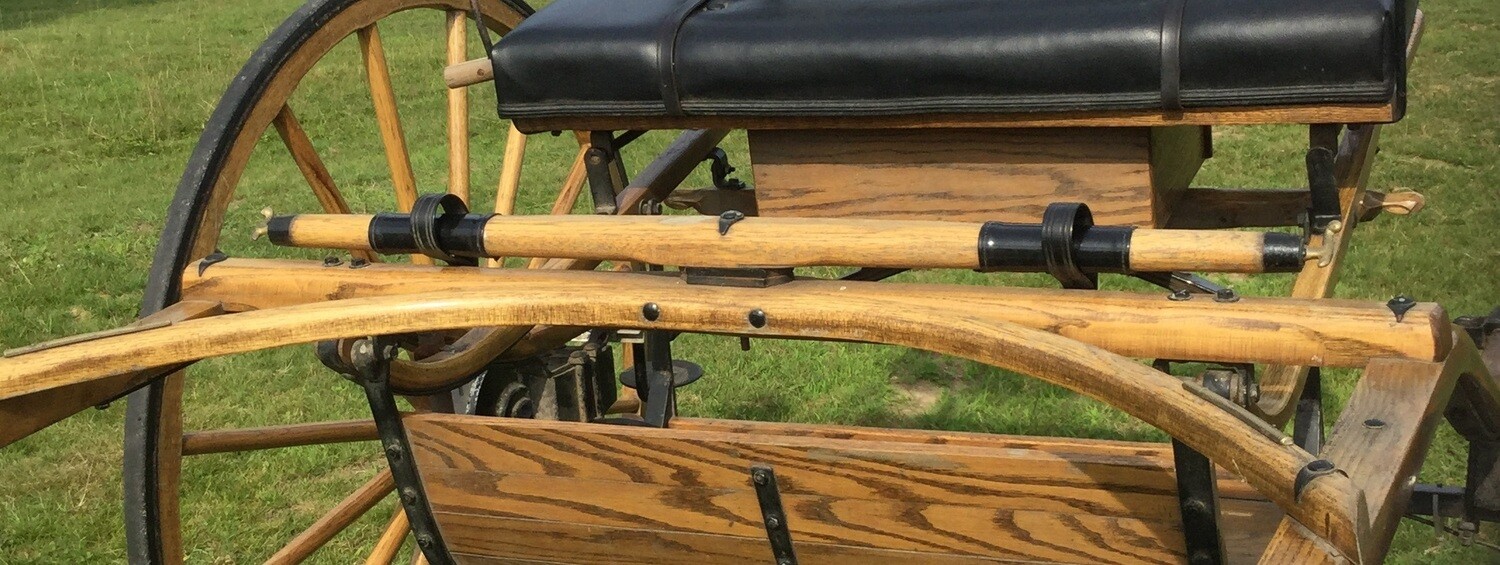 SingleTree Chrysalis Acres Equipment for the Carriage Driving Horse