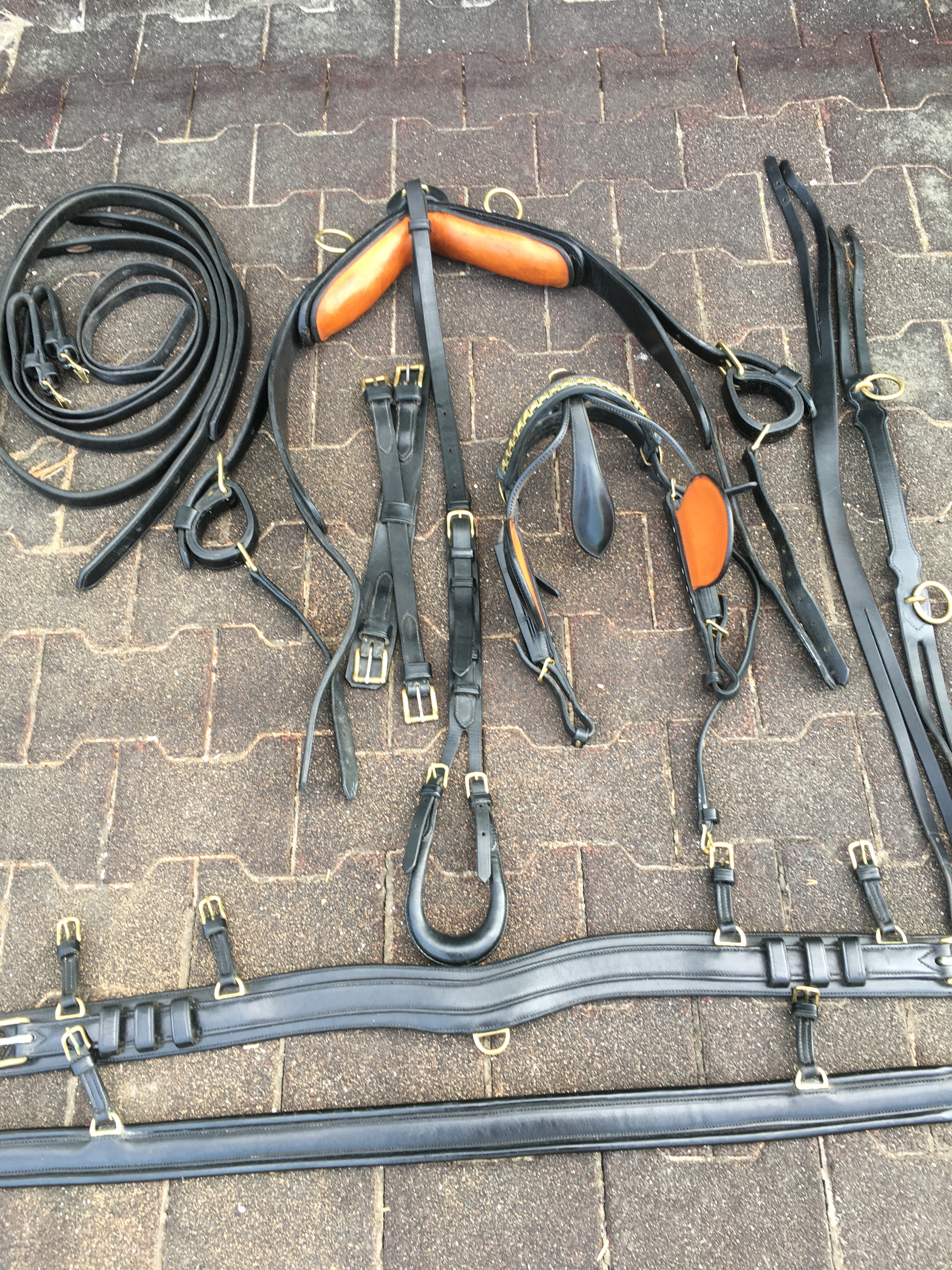 PreOwned Chrysalis Acres Equipment for the Carriage Driving Horse