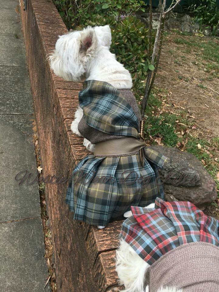 Dog Kilts