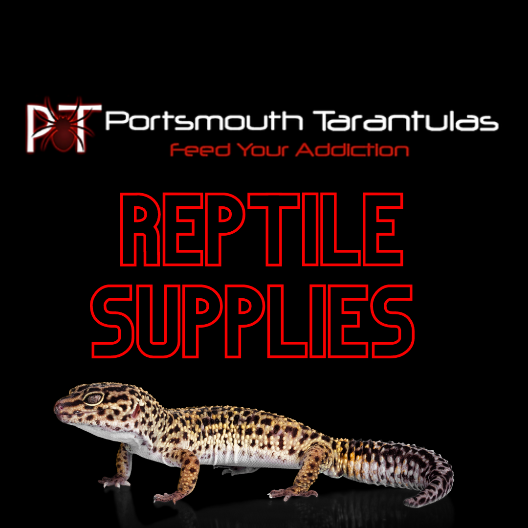 Reptile Supplies