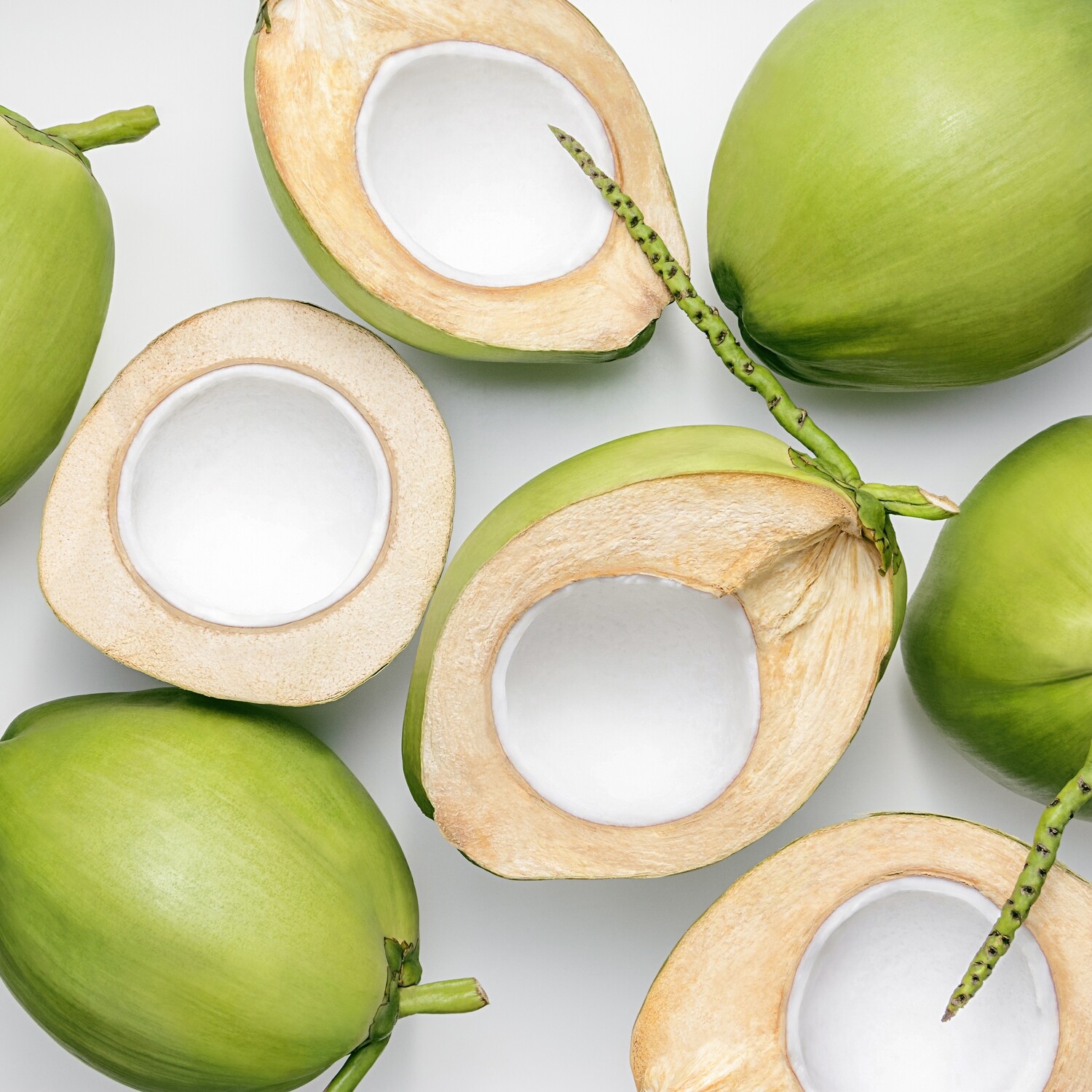 Miami Fresh Coconut, Organic Young, Buy Green Coconuts