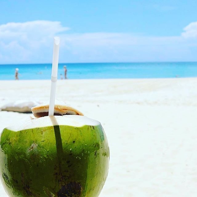 Order Fresh Coconut, Organic Young, Buy Green Coconuts