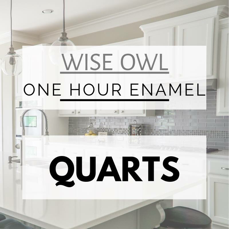 Wise Owl 1 Hour Enamel Paint, 32 oz Quart, ***FREE SHIPPING***