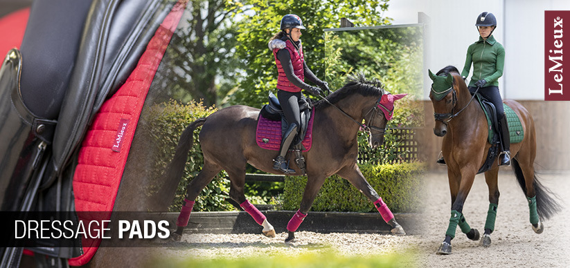 Marches D'étrier De Dressage 4,75 Pouces - Paire, Neuves
