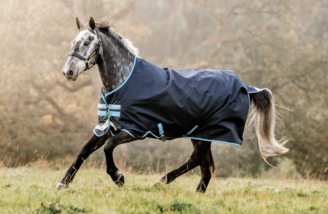 Buy Horseware Amigo Bravo 12 Plus Medium Turnout Rug 5-9 Teal/Silver & Red in C