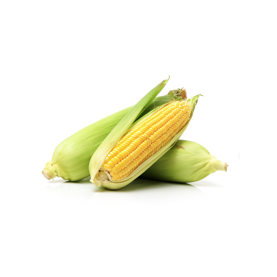 Yellow Corn