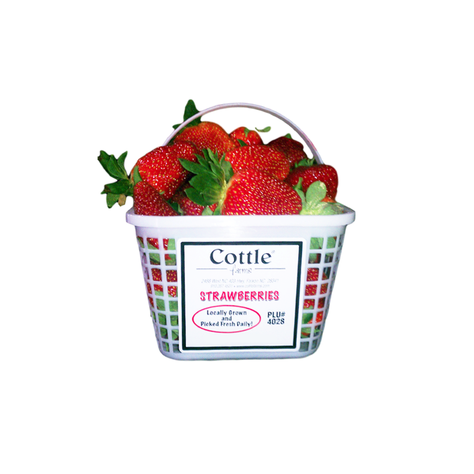 Strawberry Basket 2 qt. baskets (8 per RPC) (HT)