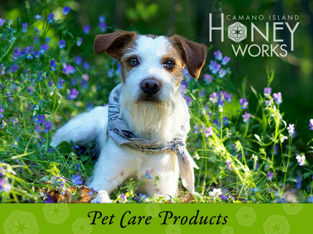 Pet Care Products Store Camano Island Honey at Sanctuary Farms