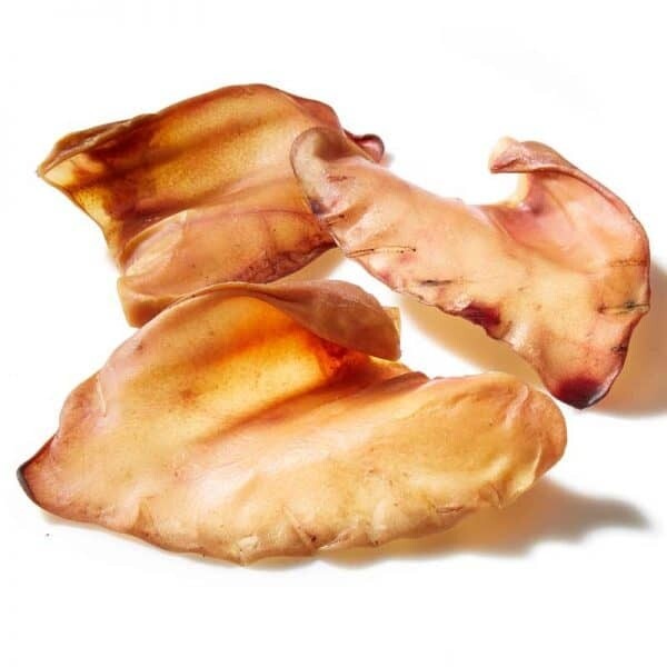Australian Pig Ears