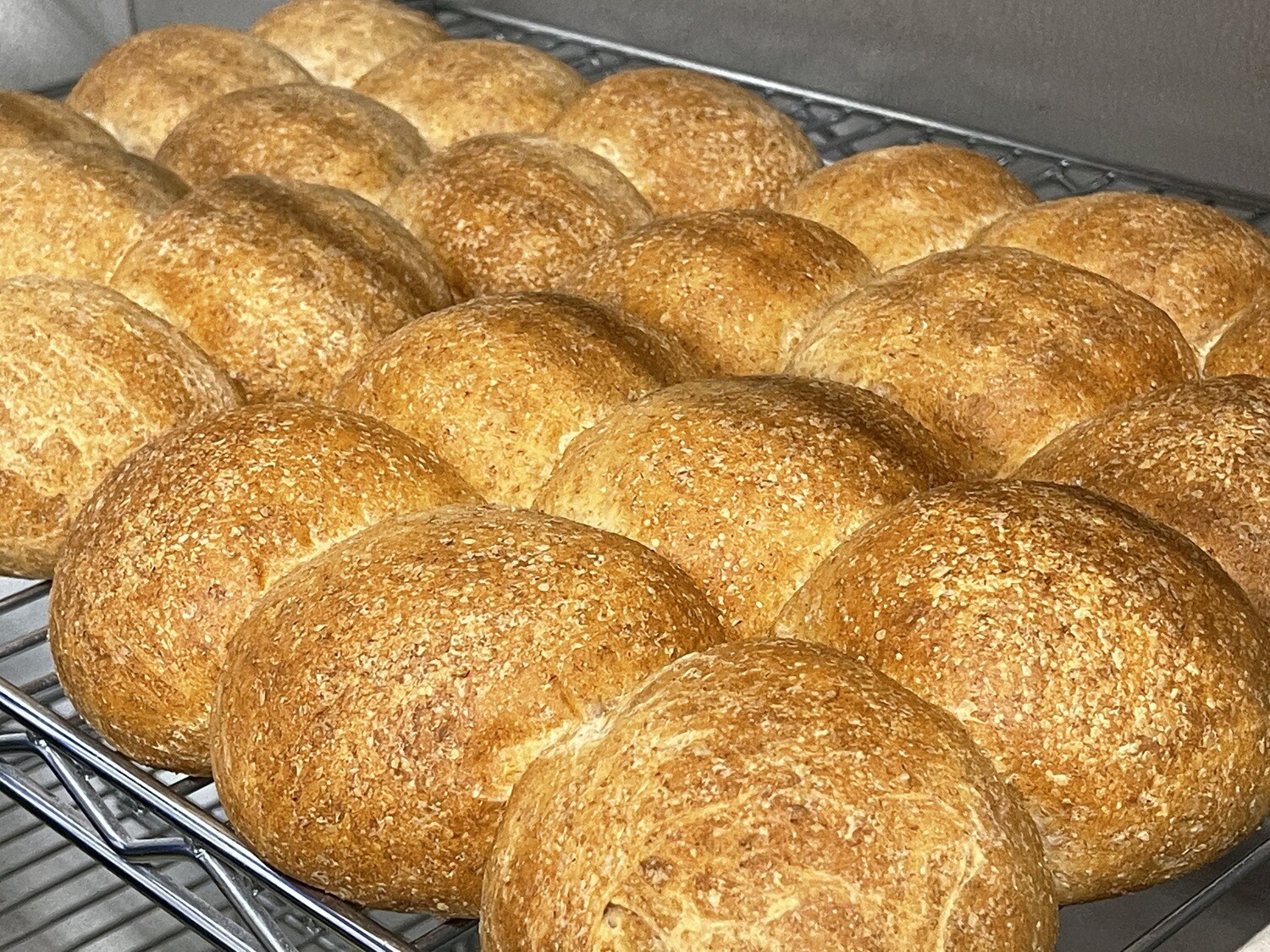 Whole Wheat Buns