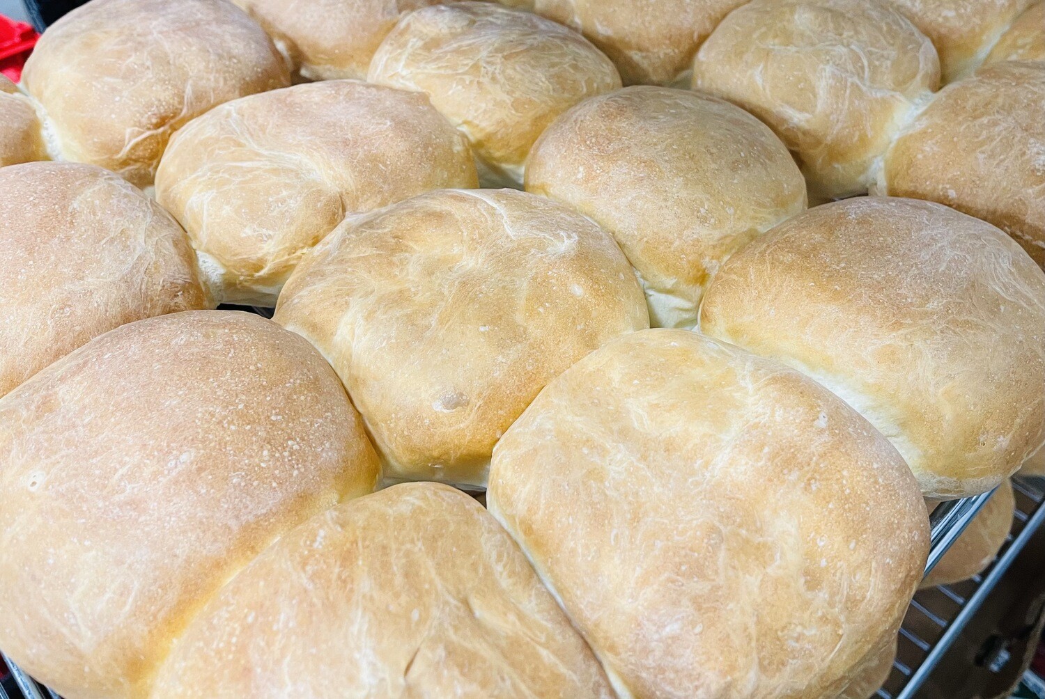 White Hamburger Buns