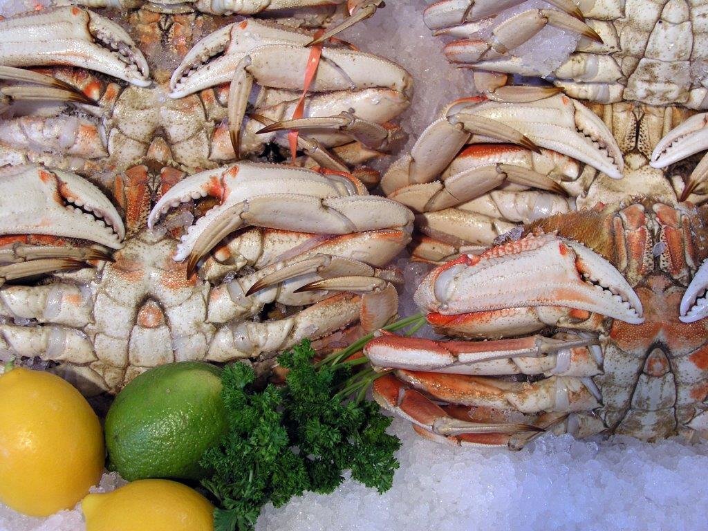 Whole Cooked Dungeness Crab
