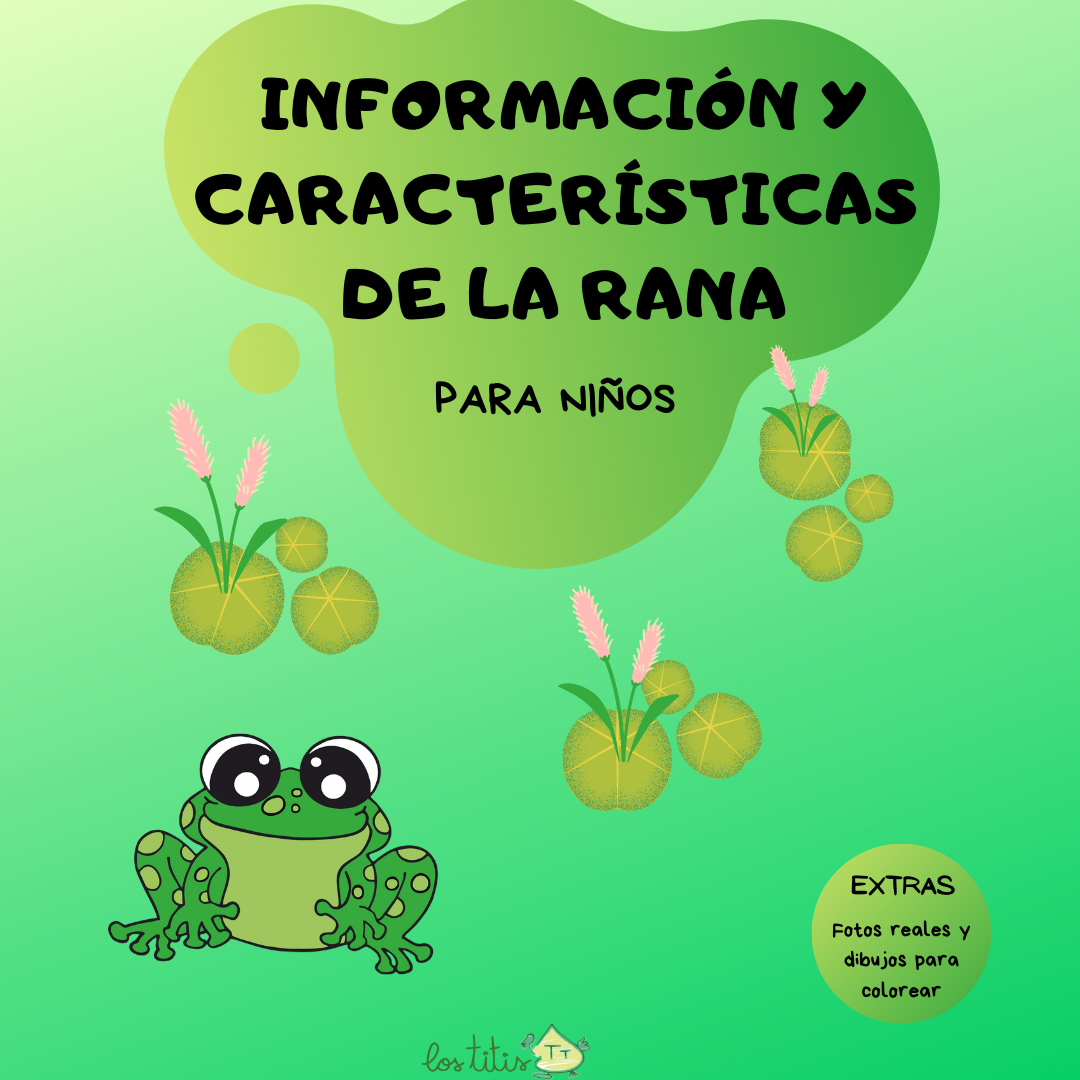 Información y características de la Rana Regalos Personalizados para Niños (Regalos Motivadores)