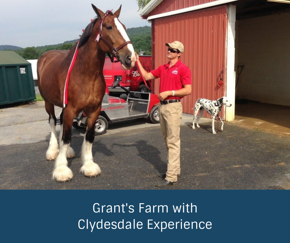 Grant’s Farm with Clydesdale Experience