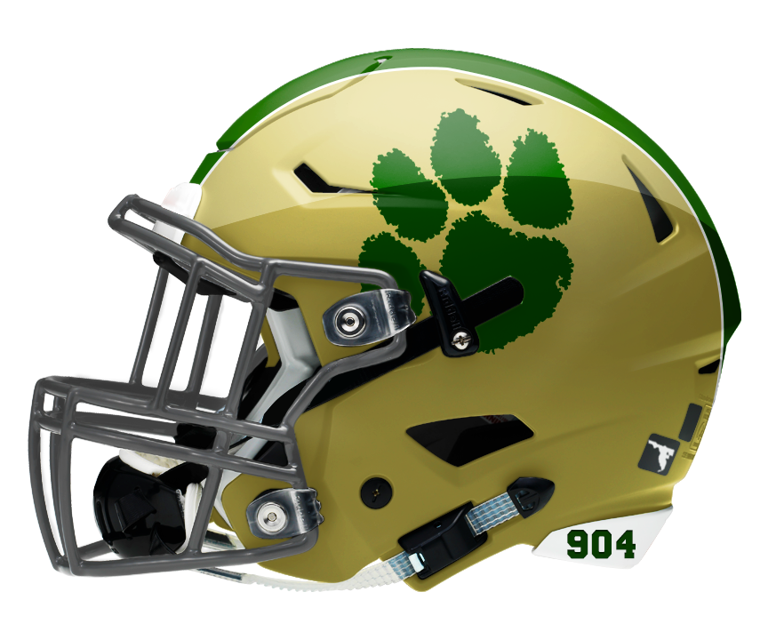 Texas High School Football MiniHelmets 2005 Nease (FL) FNL team
