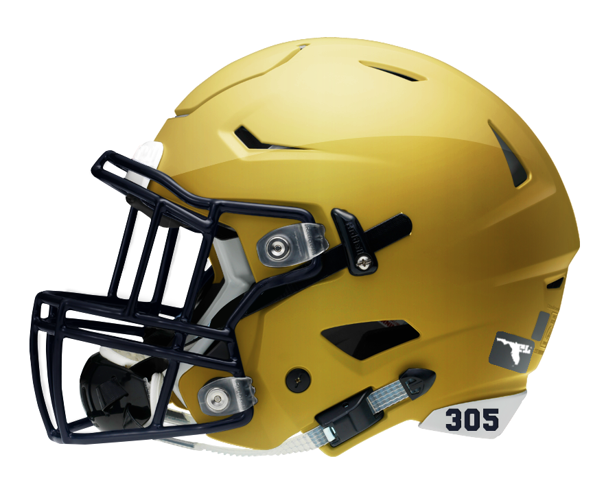 Texas High School Football MiniHelmets Lone Star Gridiron