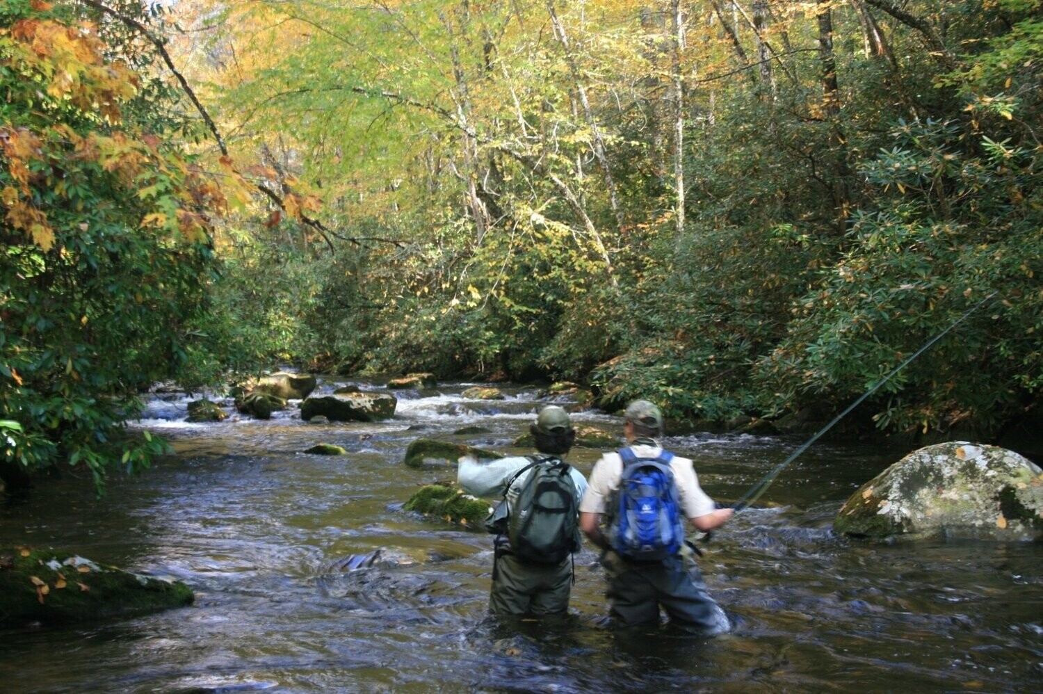 Smoky Mtns Flyfishing Adv / June 4 10, 2023