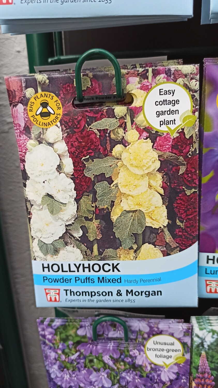 Hollyhock Powder Puffs Mixed