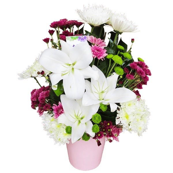 Flower Stores that Deliver in Egypt Flower Delivery