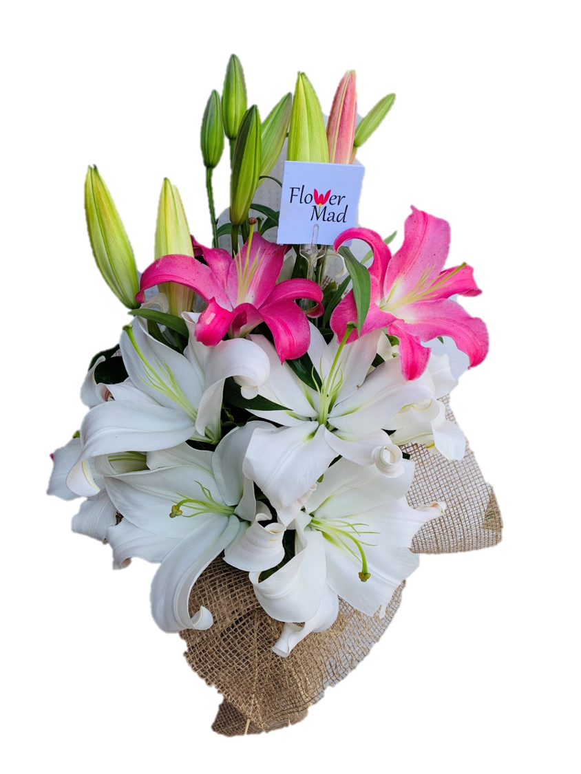 Flower Stores that Deliver in Egypt Flower Delivery