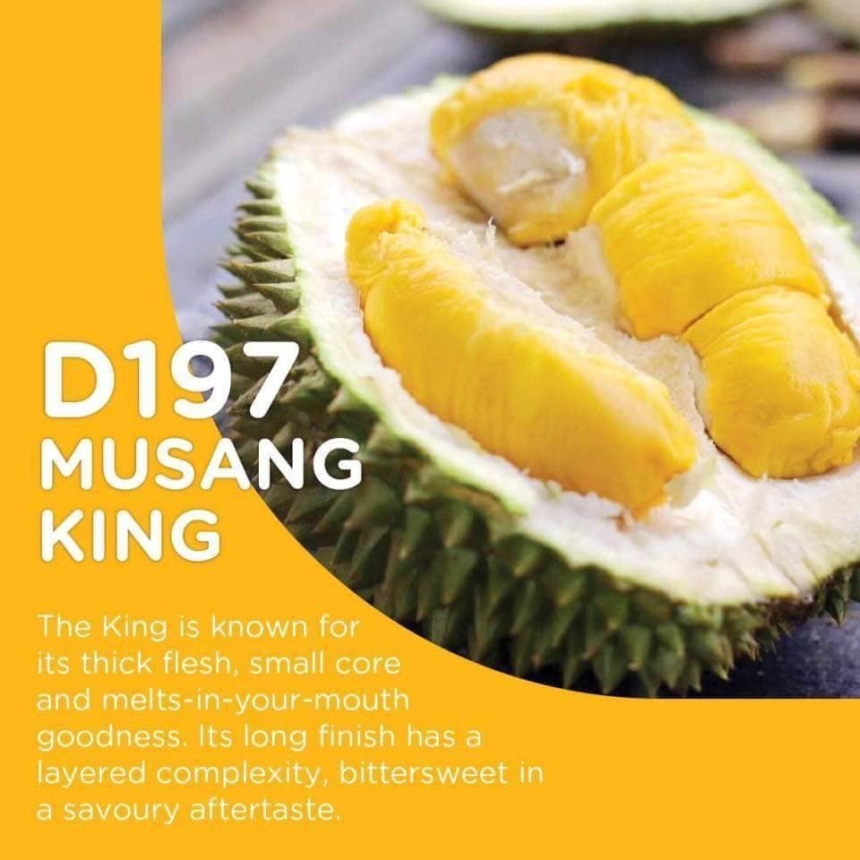 D197 Musang King Durian Fresh Fruit