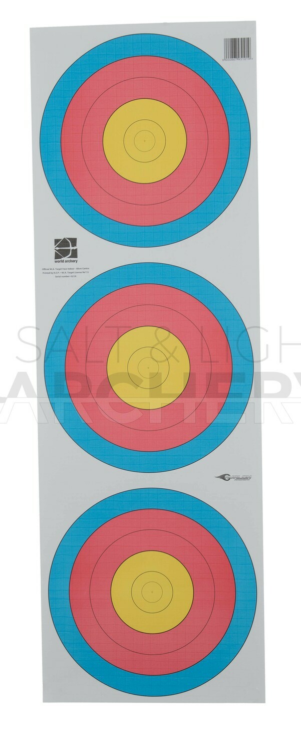Avalon World Archery Target Triple Faces