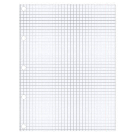 Hojas Cuadriculadas Blanca 100/1