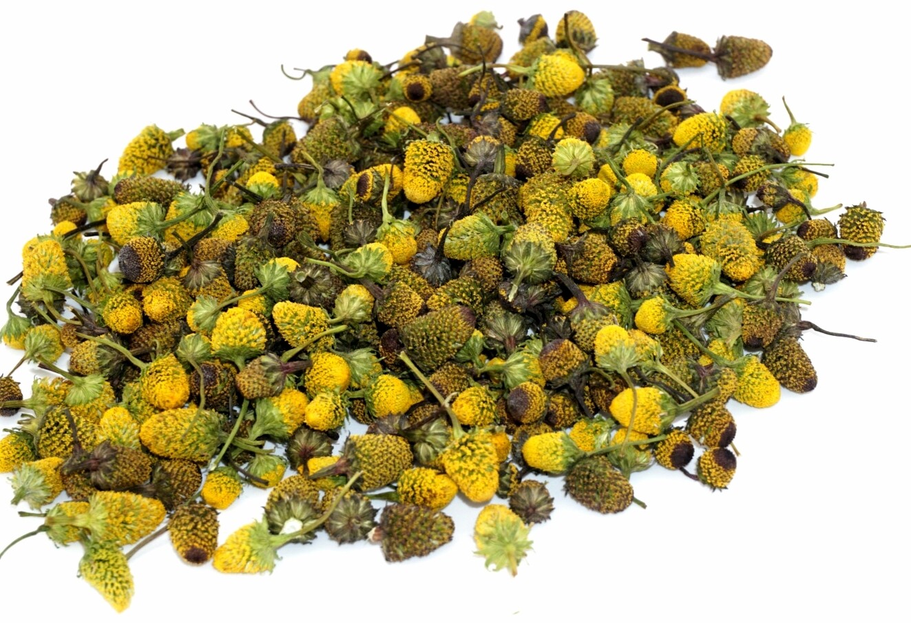 Dried Bulk Buzz Button Flowers Natural Nomad Farms.
