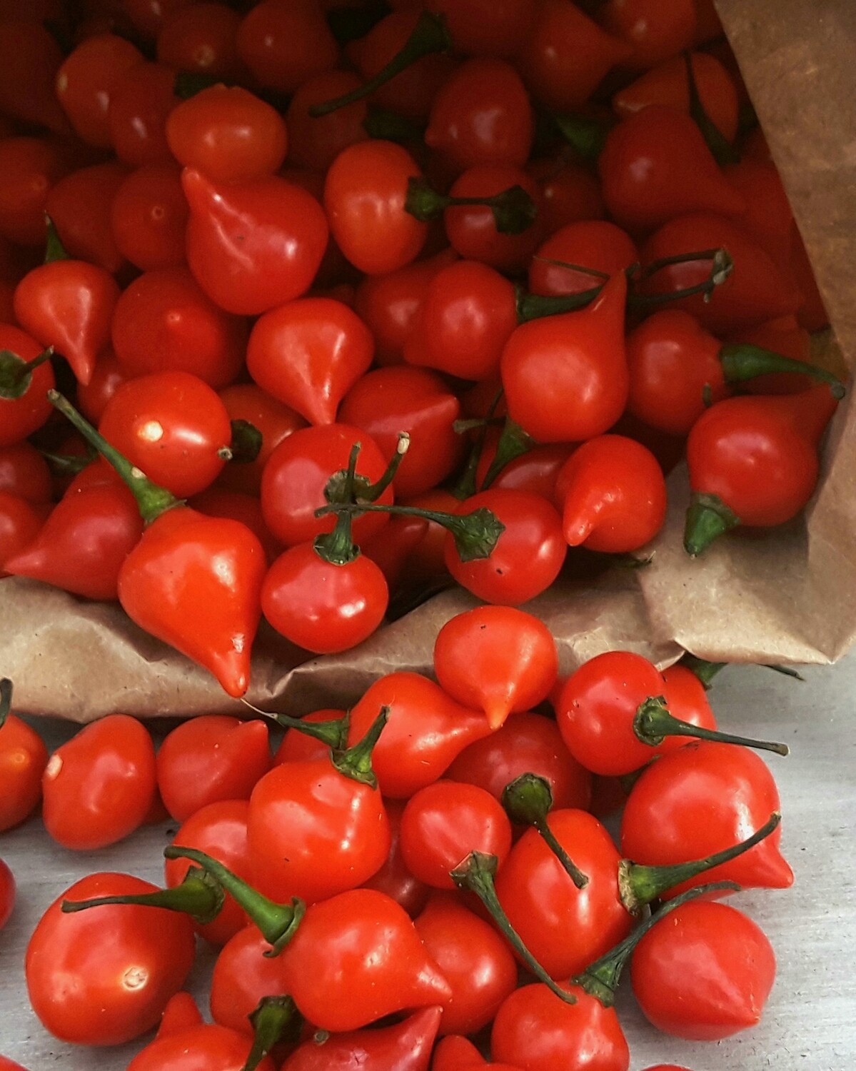 Fresh Red Biquinho Peppers-Natural Nomad Farms