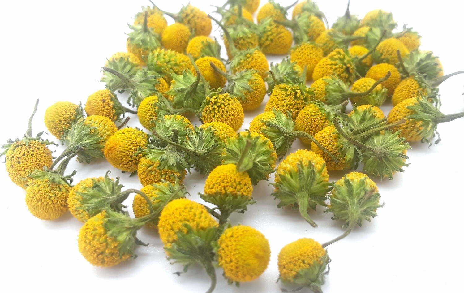 Dried "Lemon Drop" Buzz Buttons Spilanthes acmella