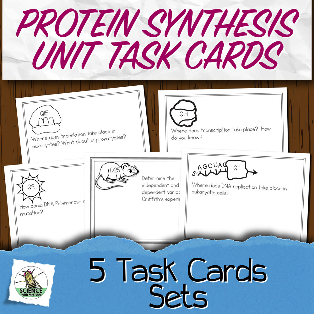Unit 7 Protein Synthesis Task Cards Store Science and Math with