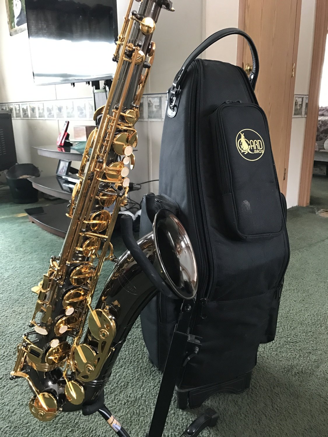 Used Black Nickel/Gold Intermediate Tenor Model TS100BG