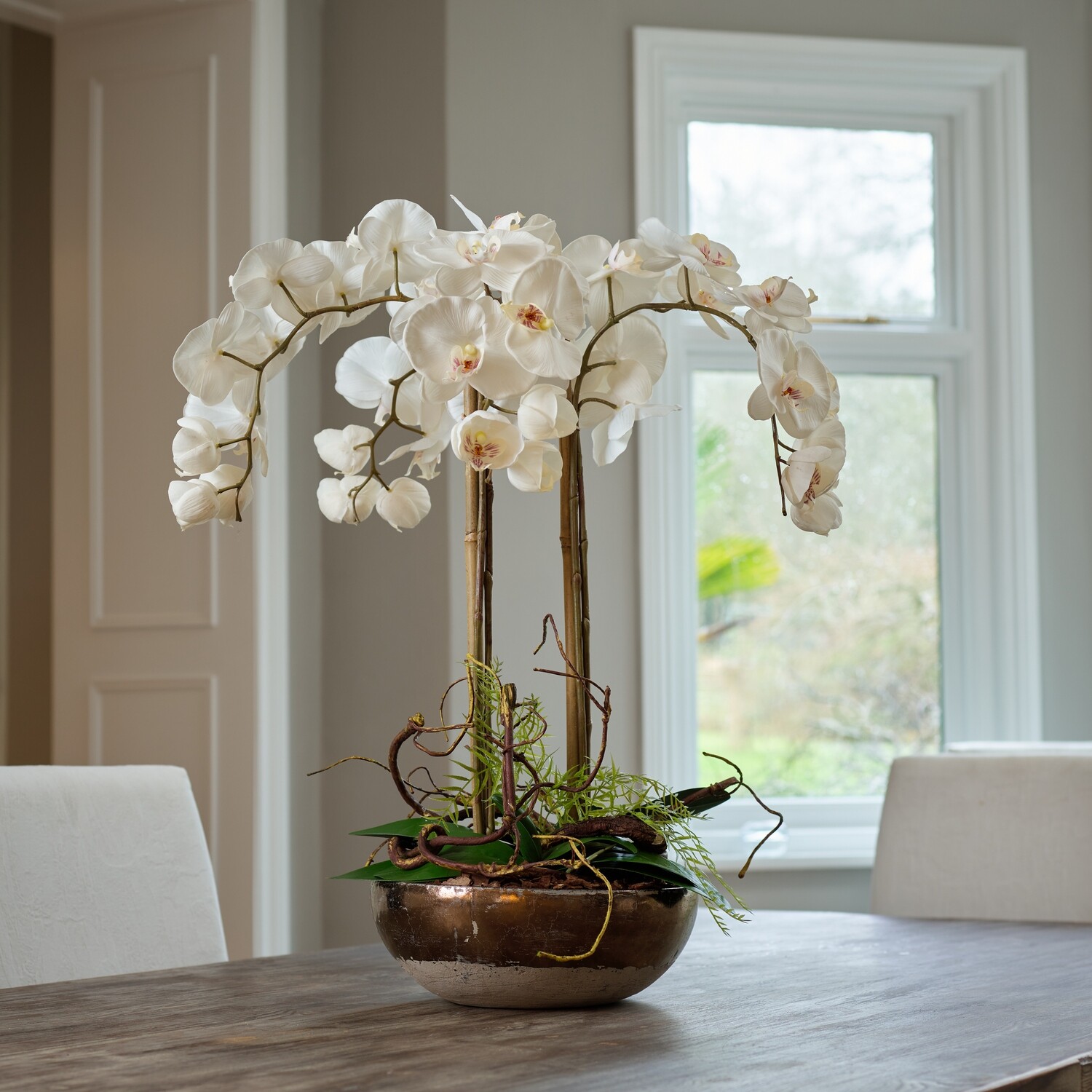 Phalaenopsis Orchid in Rustic Low Bowl