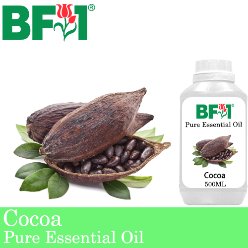 Pure Essential Oil (EO) Cocoa Essential Oil 500ml