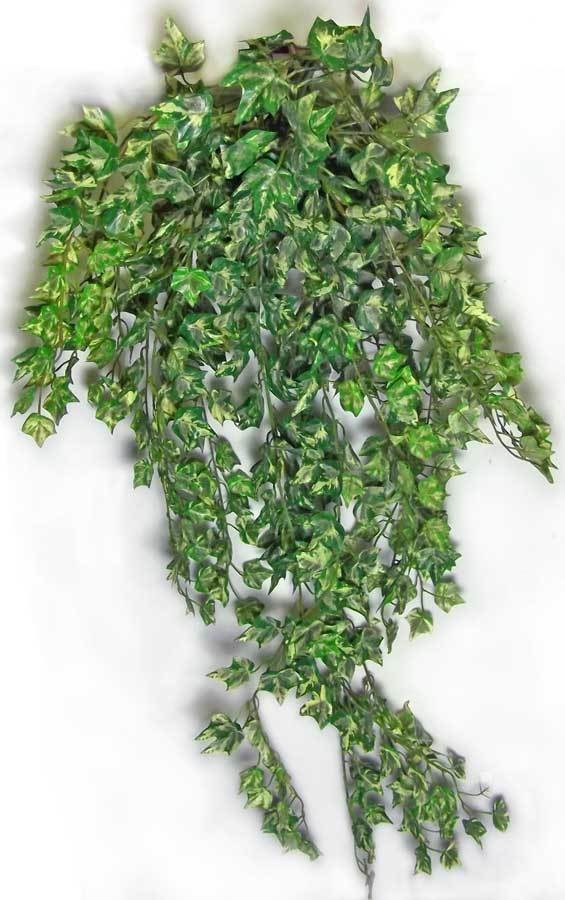 Needlepoint Ivy Bush & Trail 97cm