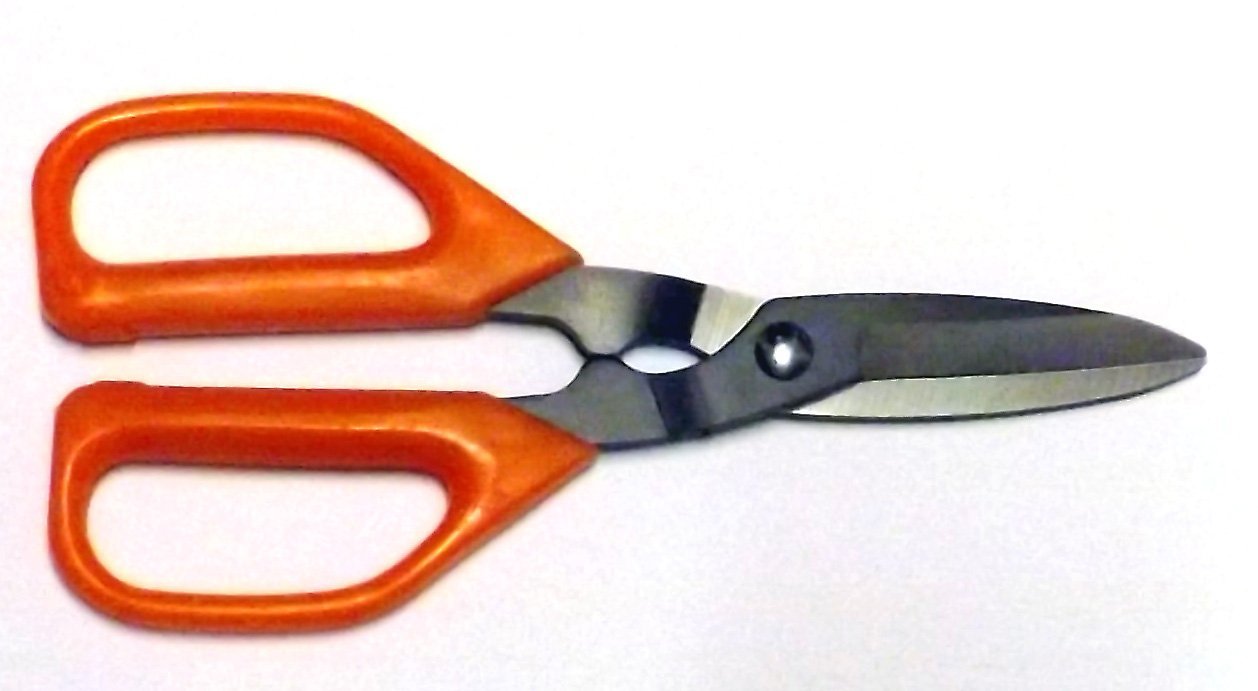 Scissors and Light Pruning