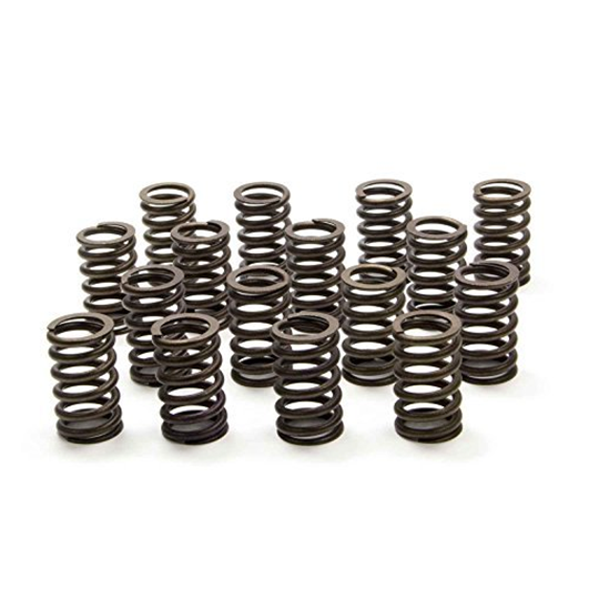 [ Valve Springs ]
