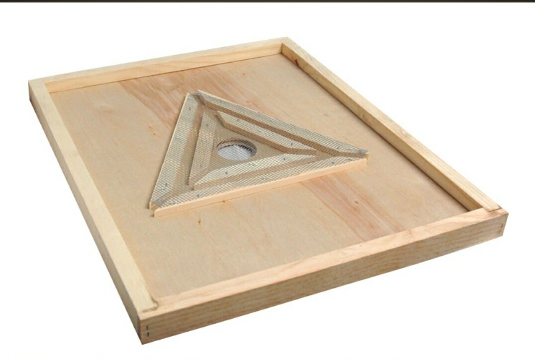 Triangle Escape Board Store Royal Alaskan Honey