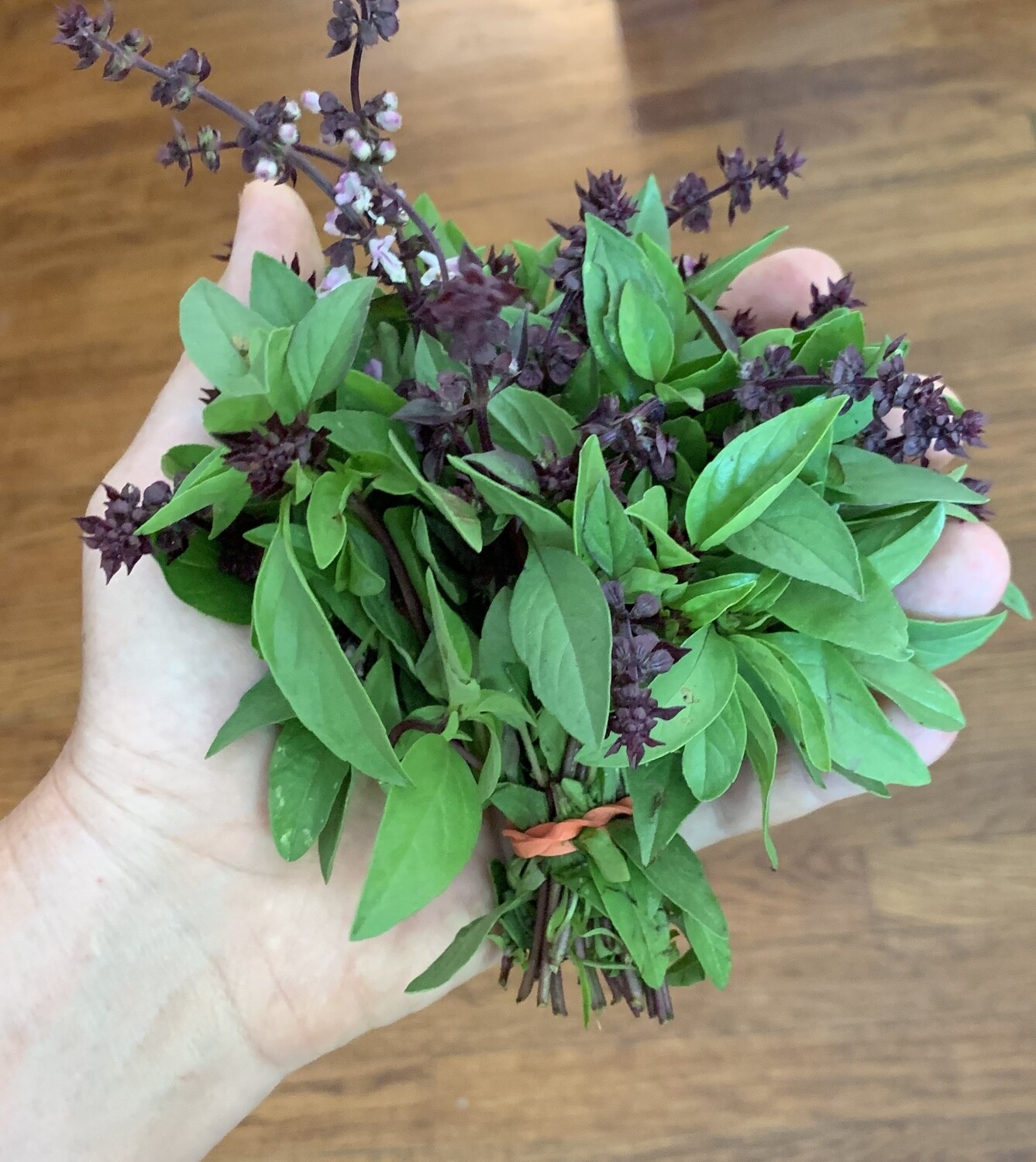 Thai Basil 12 bunch case
