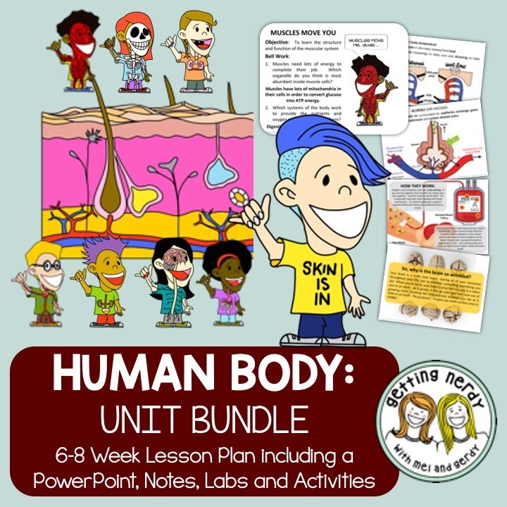 Human Body Systems PowerPoint & Handouts Unit Bundle