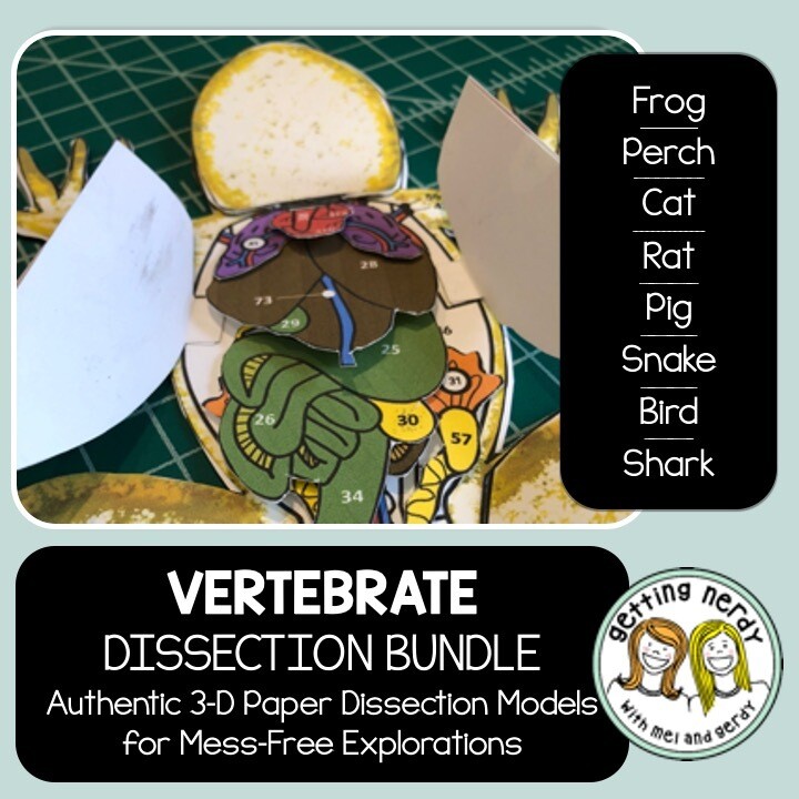 Dissection Vertebrate Animals Bundle Distance Learning + Digital Lesson