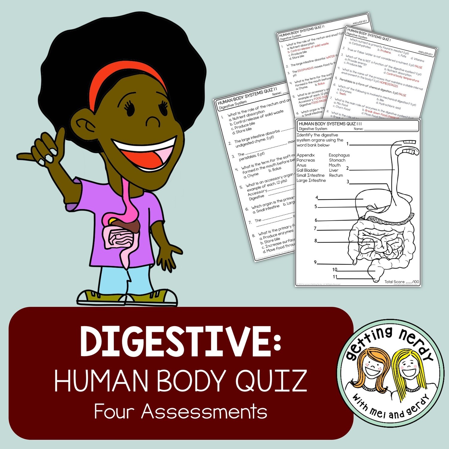 Human Body Digestive System Quiz