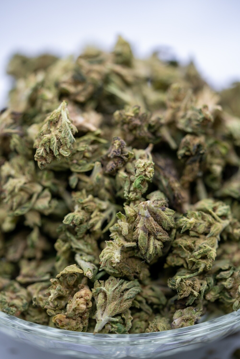 Lifter Hemp Flower Small Buds Wholesale (lb) High CBD Hemp Flower