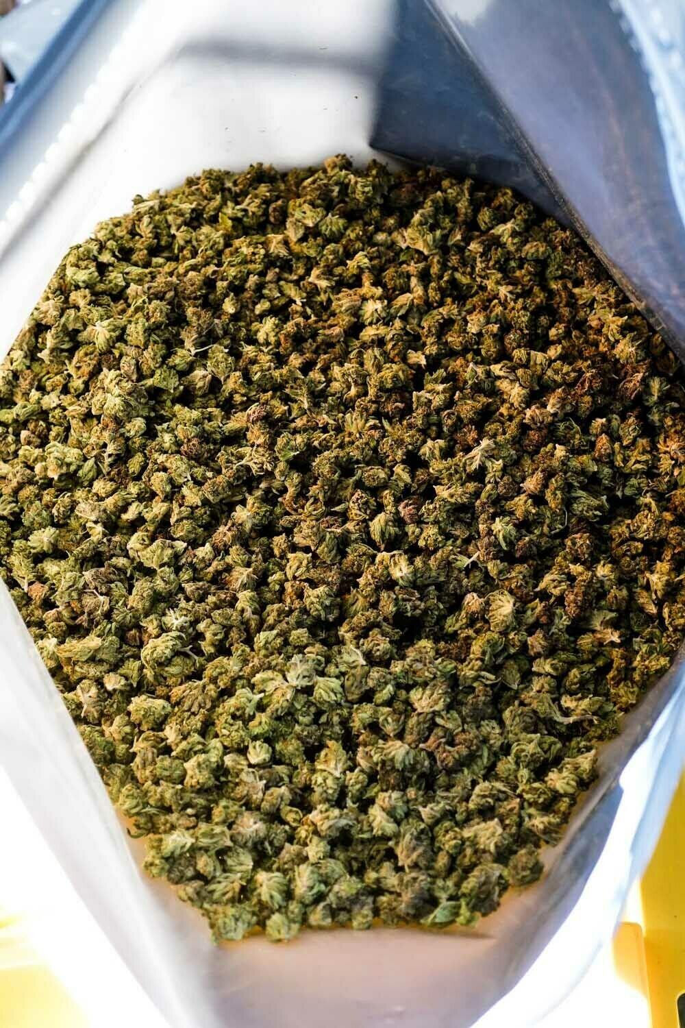Sour Space Candy Flower Small Buds Wholesale Pounds High CBD Hemp 