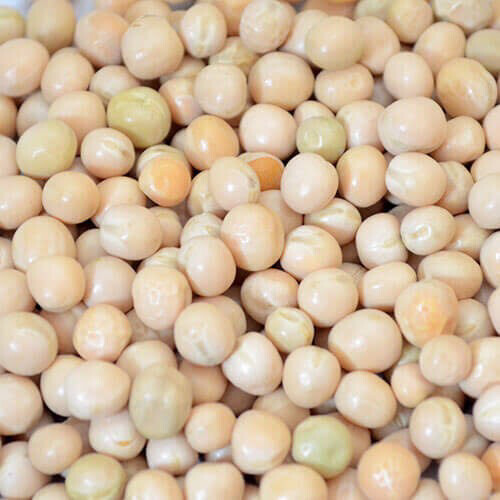 PARSRAM WHITE PEAS 2KG(Safedh Vatana/Batani)