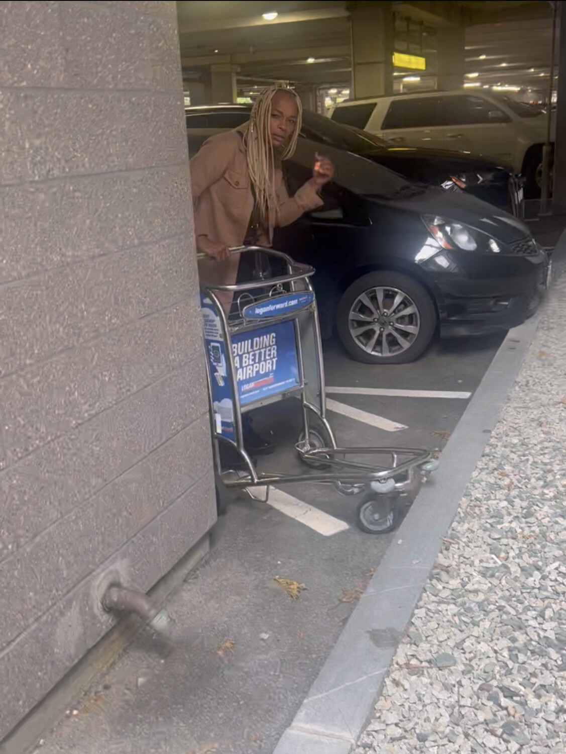 specialized fight then flight