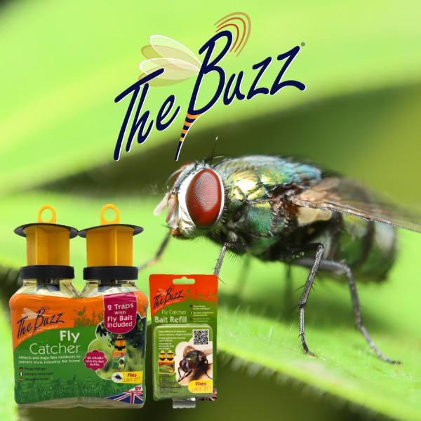 The Buzz Fly Catcher 2 Pack & Bait Refill