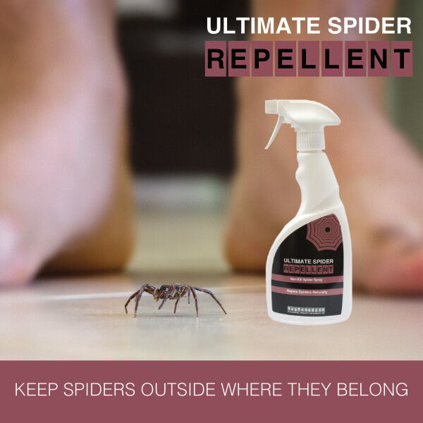 Ultimate Spider Repellent
