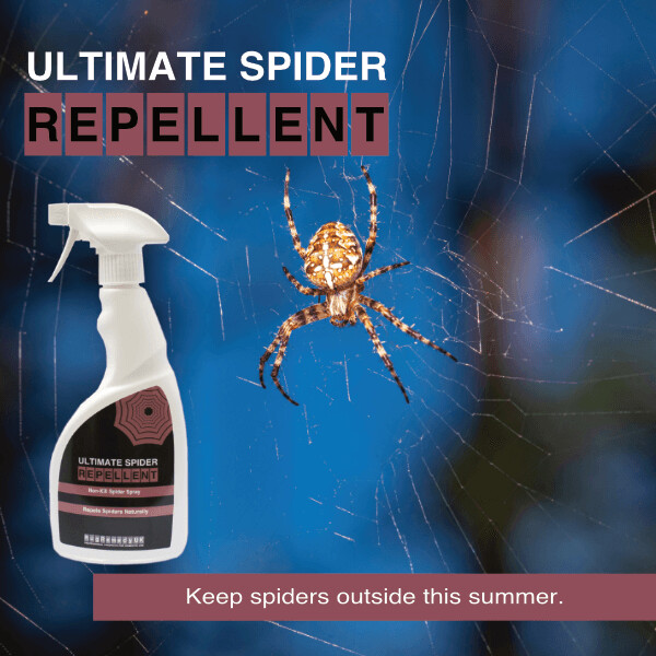 Ultimate Spider Repellent